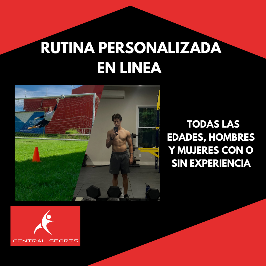 Rutina Personalizada en Casa o Gym