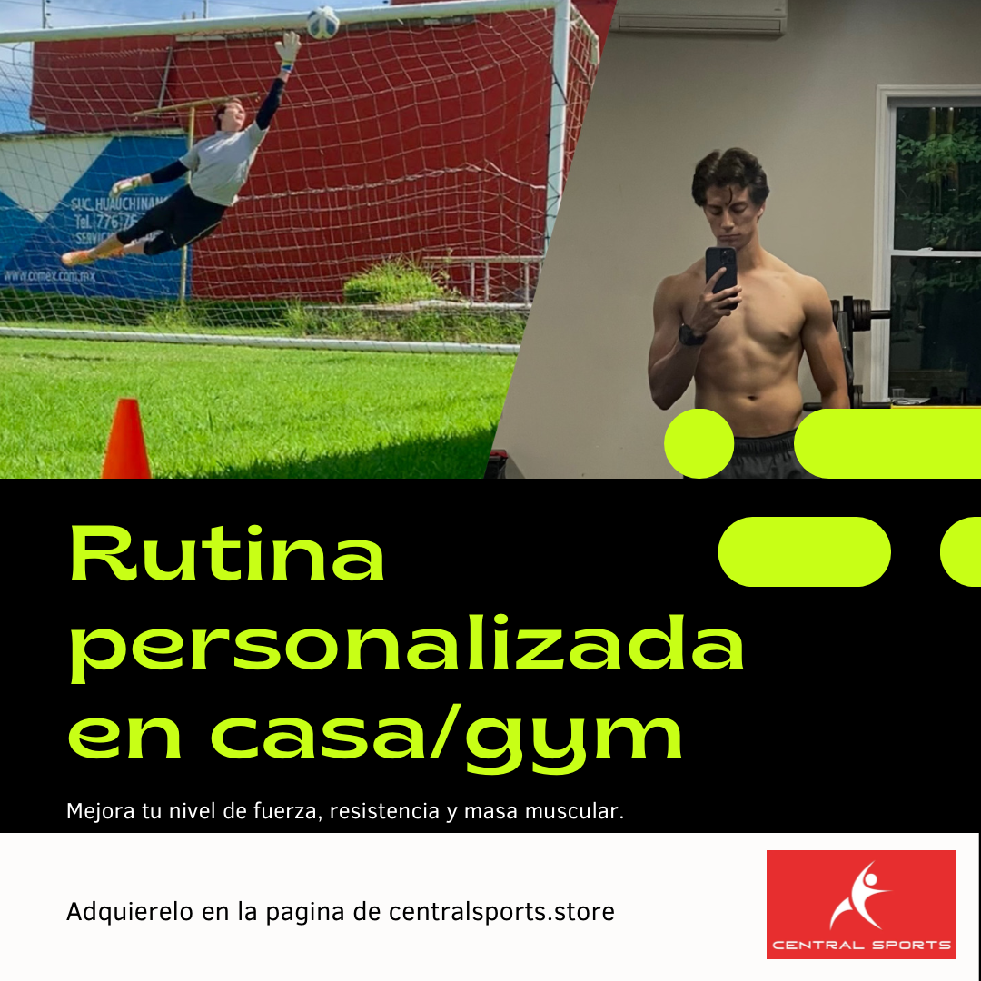 Rutina Personalizada en Casa o Gym